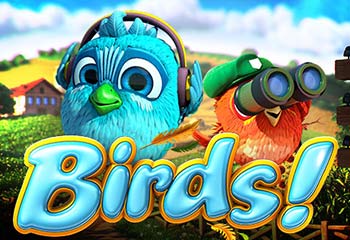 Birds